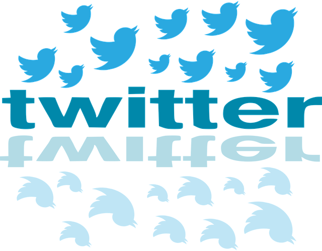 Spiare Twitter passo dopo passo